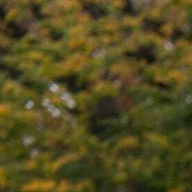 Manifestantes protestan frente a la Casa Blanca contra la intervención de EEUU en Venezuela.