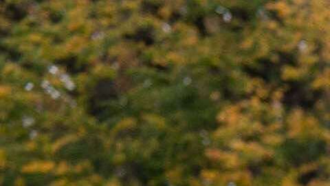 Manifestantes protestan frente a la Casa Blanca contra la intervención de EEUU en Venezuela.