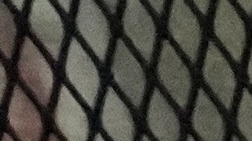 Agentes de Aduanas y Protección Fronteriza en Chicago.