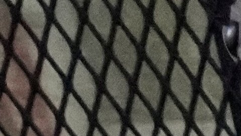 Agentes de Aduanas y Protección Fronteriza en Chicago.