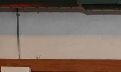 Emprendedoras y emprendedores recién graduados del programa Juntos de la Fundación de La Villita. (Cortesía)