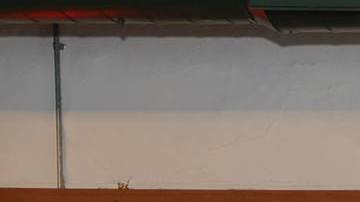 Emprendedoras y emprendedores recién graduados del programa Juntos de la Fundación de La Villita. (Cortesía)