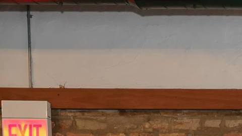 Emprendedoras y emprendedores recién graduados del programa Juntos de la Fundación de La Villita. (Cortesía)