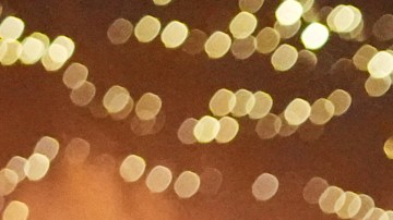 Manifestantes en Minneapolis repudian las redadas de inmigración y la muerte de dos personas a manos de agentes federales sucedidas en enero de 2026.