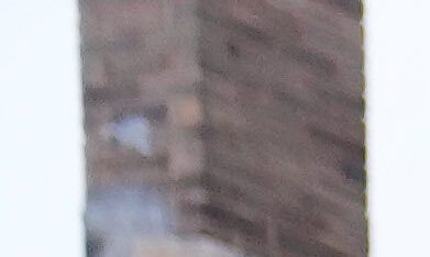 Policías de Chicago bloquean una calle en La Villita durante protestas contra las redadas en noviembre de 2025.