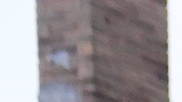 Policías de Chicago bloquean una calle en La Villita durante protestas contra las redadas en noviembre de 2025.