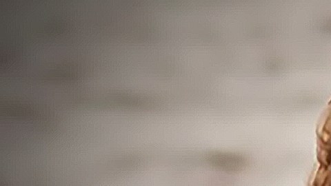 Renee Nicole Good, de 37 años, murió a manos de un agente de ICE que disparó en Minneapolis. (Facebook / Old Dominion University – English Department)