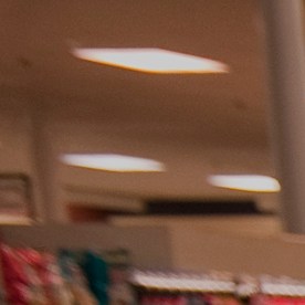 El acceso a alimentos vía el beneficio SNAP podría perderse o reducirse drásticamente para cientos de miles de personas en Illinois debido a las nuevas reglas en vigencia a partir del 1 de febrero de 2026. (Cortesía USDgov)