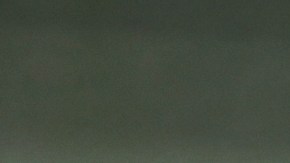 El programa Meals on Wheels ofrece comida gratuita a adultos mayores. (Cortesía Heidi Clifton / Cecily George Photography).