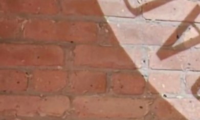 Aída Flores, educadora y candidata a concejal por el Distrito 25 de Chicago. (Cortesía)