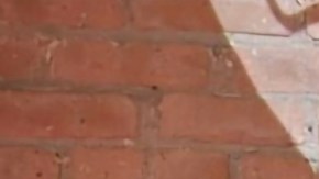 Aída Flores, educadora y candidata a concejal por el Distrito 25 de Chicago. (Cortesía)