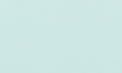 La avenida Archer, en el barrio Brighton Park del suroeste de Chicago. (Antonio Zavala / La Raza)