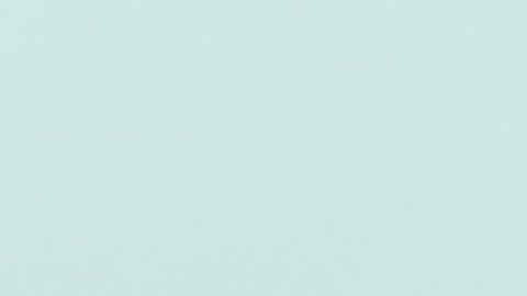 La avenida Archer, en el barrio Brighton Park del suroeste de Chicago. (Antonio Zavala / La Raza)