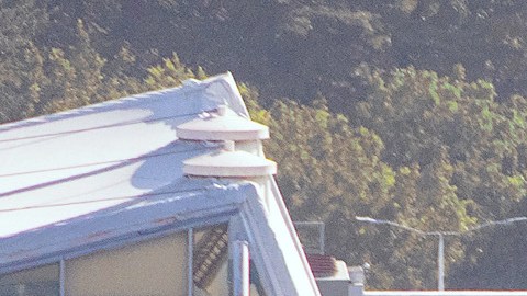 Fotografía aérea donde se ve camión incendiándose tras reacciones violentas por el abatimiento de Nemesio Rubén Oseguera Cervantes, alias 'El Mencho', líder del Cártel Jalisco Nueva Generación (CJNG) este domingo, en Puerto Vallarta (México). El abatimiento de alias El Mencho desató una ola de violencia y bloqueos carreteros en México.