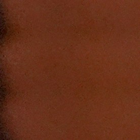 Eileen O’Neill Burke, fiscal Estatal del Condado de Cook.