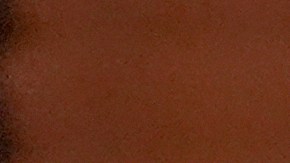 Eileen O’Neill Burke, fiscal Estatal del Condado de Cook.