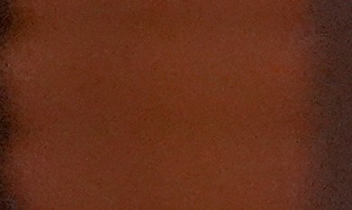 Eileen O’Neill Burke, fiscal Estatal del Condado de Cook.