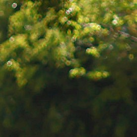 Integrantes de la Guardia Nacional patrullan en Guadalajara (México) después de la ola de violencia desatada con bloqueos e incendios tras la muerte en un operativo militar del capo Nemesio Oseguera Cervantes, alias El Mencho, líder del Cártel Jalisco Nueva Generación (CJNG).