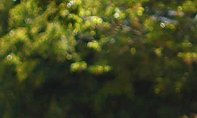 Integrantes de la Guardia Nacional patrullan en Guadalajara (México) después de la ola de violencia desatada con bloqueos e incendios tras la muerte en un operativo militar del capo Nemesio Oseguera Cervantes, alias El Mencho, líder del Cártel Jalisco Nueva Generación (CJNG).