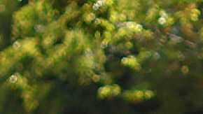 Integrantes de la Guardia Nacional patrullan en Guadalajara (México) después de la ola de violencia desatada con bloqueos e incendios tras la muerte en un operativo militar del capo Nemesio Oseguera Cervantes, alias El Mencho, líder del Cártel Jalisco Nueva Generación (CJNG).