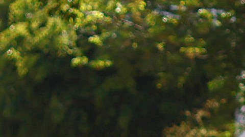 Integrantes de la Guardia Nacional patrullan en Guadalajara (México) después de la ola de violencia desatada con bloqueos e incendios tras la muerte en un operativo militar del capo Nemesio Oseguera Cervantes, alias El Mencho, líder del Cártel Jalisco Nueva Generación (CJNG).