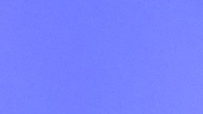 Judith McCray, directora del Instituto de Periodismo y Justicia Racial de la Universidad DePaul. (Cortesía Public Narrative)