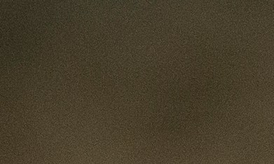 El reverendo Jesse Jackson, histórico líder de la lucha por los derechos civiles y el progreso social, falleció en Chicago el 17 de febrero de 2026.