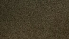 El reverendo Jesse Jackson, histórico líder de la lucha por los derechos civiles y el progreso social, falleció en Chicago el 17 de febrero de 2026.