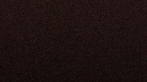 Marimar Martínez, residente y maestra de Chicago que recibió cinco disparos de un agente de la Patrulla Fronteriza en octubre, hablando durante un foro en Washington DC.