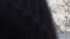 Manifestantes protestan contra las redadas de inmigración frente al centro de procesamiento de Broadview, cerca de Chicago.