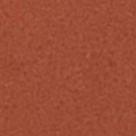 Reyna Torres Mendivil, cónsul general de México en Chicago, durante un evento comunitario en la Biblioteca Lozano en Pilsen. (Antonio Zavala / La Raza)