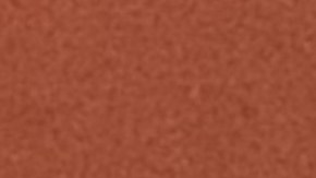 Reyna Torres Mendivil, cónsul general de México en Chicago, durante un evento comunitario en la Biblioteca Lozano en Pilsen. (Antonio Zavala / La Raza)