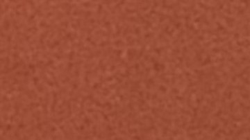 Reyna Torres Mendivil, cónsul general de México en Chicago, durante un evento comunitario en la Biblioteca Lozano en Pilsen. (Antonio Zavala / La Raza)