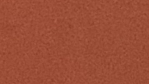 Reyna Torres Mendivil, cónsul general de México en Chicago, durante un evento comunitario en la Biblioteca Lozano en Pilsen. (Antonio Zavala / La Raza)