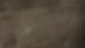 Durante su discurso del Estado de la Unión, Trump calificó otra vez a inmigrantes de "criminales".