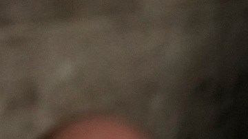 Durante su discurso del Estado de la Unión, Trump calificó otra vez a inmigrantes de "criminales".