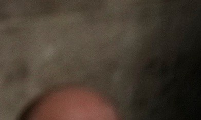 Durante su discurso del Estado de la Unión, Trump calificó otra vez a inmigrantes de "criminales".