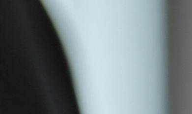 Organizaciones cívicas proporcionan ayuda legal a inmigrantes. (Pexels/Andrea Piacquadio)