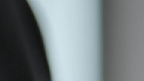 Organizaciones cívicas proporcionan ayuda legal a inmigrantes. (Pexels/Andrea Piacquadio)