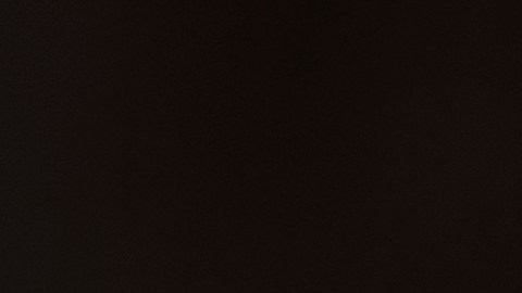 El director de orquesta mexicano Carlos Miguel Prieto. (Cortesía/Benjamín Ealovega)