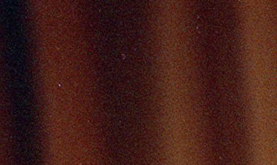 César Chávez, histórico líder del sindicato Unión de Campesinos.