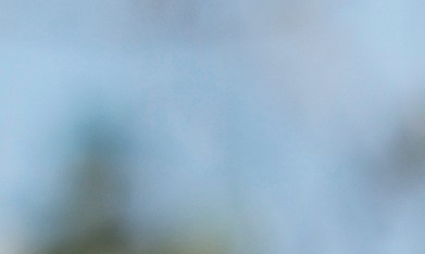 Una estatua del líder campesino César Chávez en Los Ángeles.