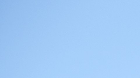 Trabajadores sacan un busto de César Chavez en el Parque César E. Chavez de Denver, el 19 de marzo del 2026.