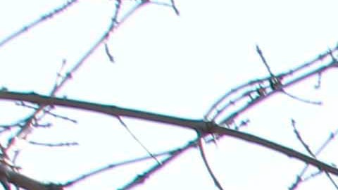 La ya inactiva planta de carbón Fisk (al fondo a la derecha) se ubica a un lado de viviendas del barrio latino de Pilsen, Chicago.