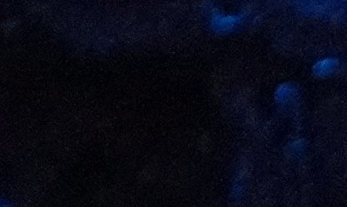 La vicegobernadora de Illinois, Juliana Stratton, ganó la candidatura demócrata al senado federal en las elecciones primarias del 17 de marzo de 2026.