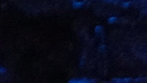 La vicegobernadora de Illinois, Juliana Stratton, ganó la candidatura demócrata al senado federal en las elecciones primarias del 17 de marzo de 2026.