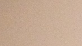 Lori Lightfoot, exalcalde de Chicago, presentó la iniciativa ICE Accountability Project, dedicado a documentar abusos de agentes de inmigración y hacer rendir cuentas a los responsables de ellos. (Cortesía Public Narrative)