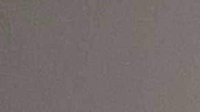 Nathaly Gajardo, copropietaria de Roofing Academy X y creadora del programa de ayuda para la certificación de techadores RAX Español. (Ashely Quincin / La Raza)