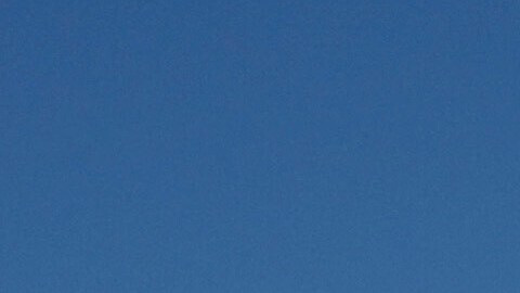 Manifestantes exigen, en febrero de 2026, en Arizona la remoción de Kristi Noem del puesto de secretaria de Seguridad Interna.