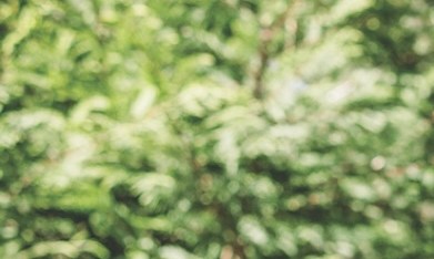 T-Mobile ofrece opciones de servicio móvil e internet poderosas y flexibles para maximizar el presupuesto familiar. (Cortesía T-Mobile)